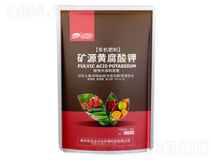 �VԴ�S�����-���_��