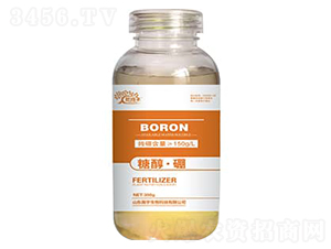 �Ǵ���-����S-�������