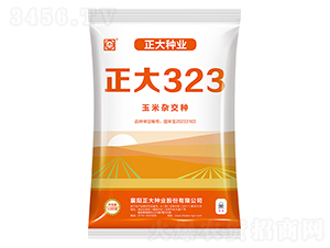 ����323-���׷N��-����N�I(y��)