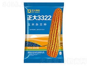 ����3322-���׷N��-����N�I(y��)