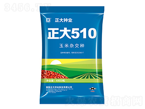 ����510-���׷N��-����N�I(y��)