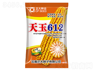 ����612-���׷N��-����N�I(y��)