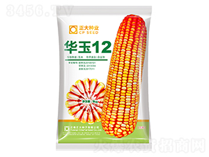 �A��12-���׷N��-����N�I(y��)