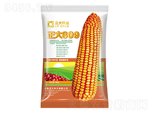 ����809-���׷N��-����N�I(y��)