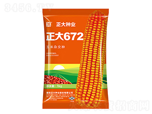 ����672-���׷N��-����N�I(y��)