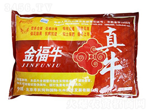 ��ţ��ţ-�͝��r�I(y��)