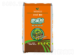 ���������Zȫ�I�B(y��ng)�ͣ��w����-�͝��r�I(y��)