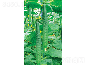 �ɶ����O��-�S�ϷN��-�͝�(r��n)�r(n��ng)�I(y��)