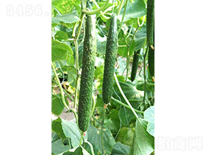 �f(w��n)�_(d��)C19-�S�ϷN��-�͝�(r��n)�r(n��ng)�I(y��)