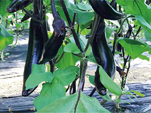 �����̖(h��o)-���ӷN��-�͝�(r��n)�r(n��ng)�I(y��)