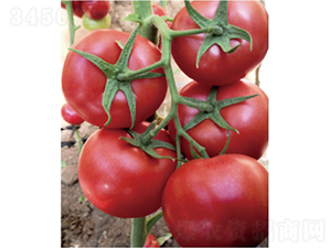 ̩��501-���ѷN��-�͝�(r��n)�r(n��ng)�I(y��)