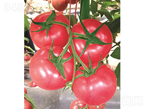 �hķ053-���ѷN��-�͝�(r��n)�r(n��ng)�I(y��)