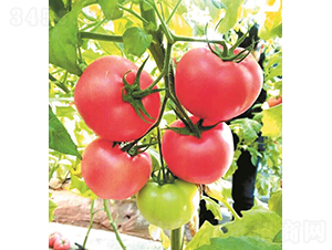 �hķ-17-���ѷN��-�͝�(r��n)�r(n��ng)�I(y��)