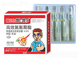 50ml��Ч�������-��С�ס����ϵ���-���r(n��ng)�r(n��ng)�I(y��)