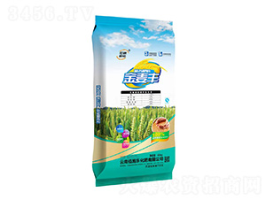 �ͺϷ���30-5-5-�����S-��ʩ������