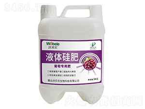 ���ь���Һ�w���-��ؐ��