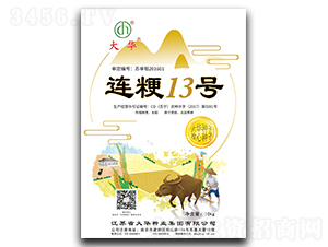 �B��13̖(h��o)-ˮ���N��-���A�N�I(y��)