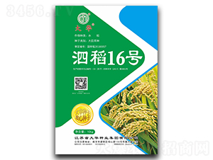 ����16̖(h��o)-ˮ���N��-���A�N�I(y��)