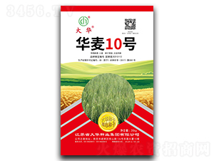 �A��10̖-С���N��-���A�N�I(y��)