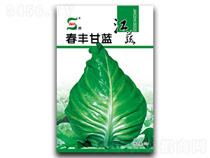 ���S���{-���{�N��-���A�N�I(y��)