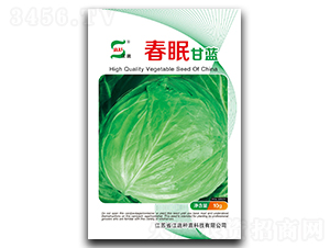 ���߸��{-���{�N��-���A�N�I(y��)