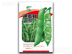 ͨ�Q�r6̖-�Q���N��-���A�N�I(y��)