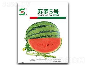 �K��(m��ng)5̖(h��o)-���ϷN��-���A�N�I(y��)