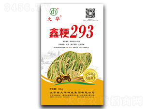 �ξ�293-ˮ���N��-���A�N�I(y��)