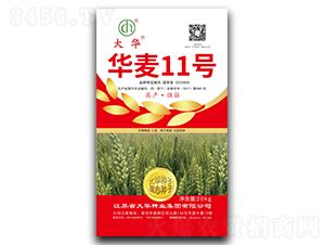 �A��11̖(h��o)-С���N��-���A�N�I(y��)