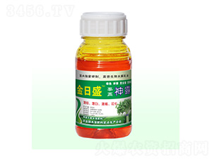 ޼����¶-����ʢ-��Դ��ʘI(y��)