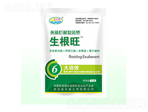 ���砀����(f��)����������-����ʢ-��Դ��ʘI(y��)