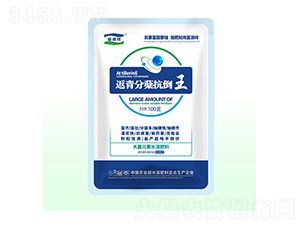 返青分蘗抗倒王-富源祥肥業(yè)