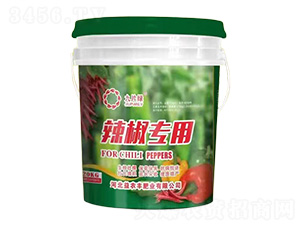 �������÷�-��Ƭ�G-���r(n��ng)�S�ʘI(y��)