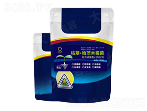 �ݲݡ�����ľù��-��Ƭ�G-���r�S�ʘI(y��)