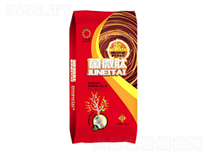 10�|΢�������-��΢��-���r�S�ʘI(y��)