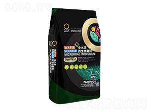 10�|ȫˮ��΢�������-��Ƭ�G-���r�S�ʘI(y��)