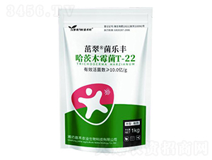 ����ľù��T-22-�κ��r�I(y��)