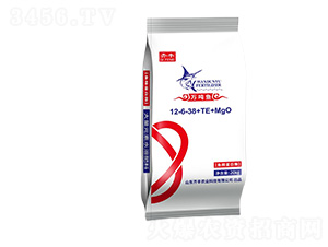 �~������ø����Ԫ��ˮ�ܷ�12-6-38+TE+MgO-�f���~-�R�S�r(n��ng)�I(y��)