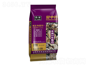 �ך��ض�΢�������}΢�������-ؐ���}-�R�S�r(n��ng)�I(y��)