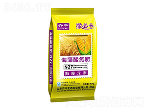 �����ᵪ��-�����S-�R�S�r(n��ng)�I(y��)