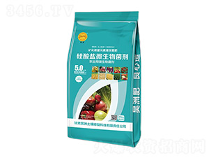 �����}΢�������-��������ޏ�(f��)