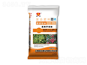 �������ÏͺϷ���17-5-6-����-���f�ʘI(y��)