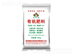 �ЙC����-���~��-���f�ʘI(y��)