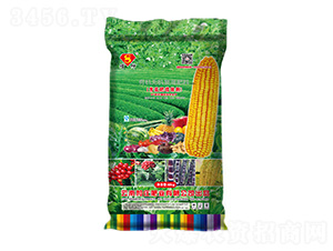 �ЙC(j��)�o�C(j��)��(f��)�����11-5-0-����-���f�ʘI(y��)