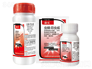 14%�x�������x���Ҹ���-�Ҹ�-�{��-�¹چ̵�