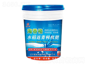 ˮ�������辷�-�����-������