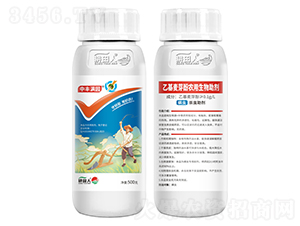 ���S�M�@-�������Լt֩��-������