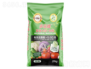 �l(f��)�ʹ�+���-����(l��)��