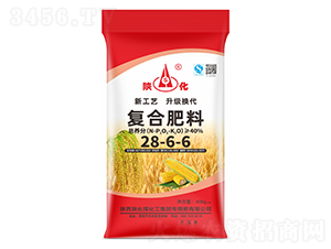 �ͺϷ���28-6-6-ꃻ�