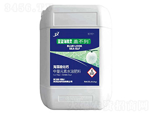 �����ǻ��}-�{�������`�w����-��֮�{